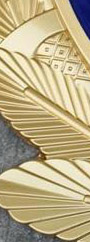 大型警徽在維護(hù)社會(huì)安全和秩序中的作用如何體現(xiàn)